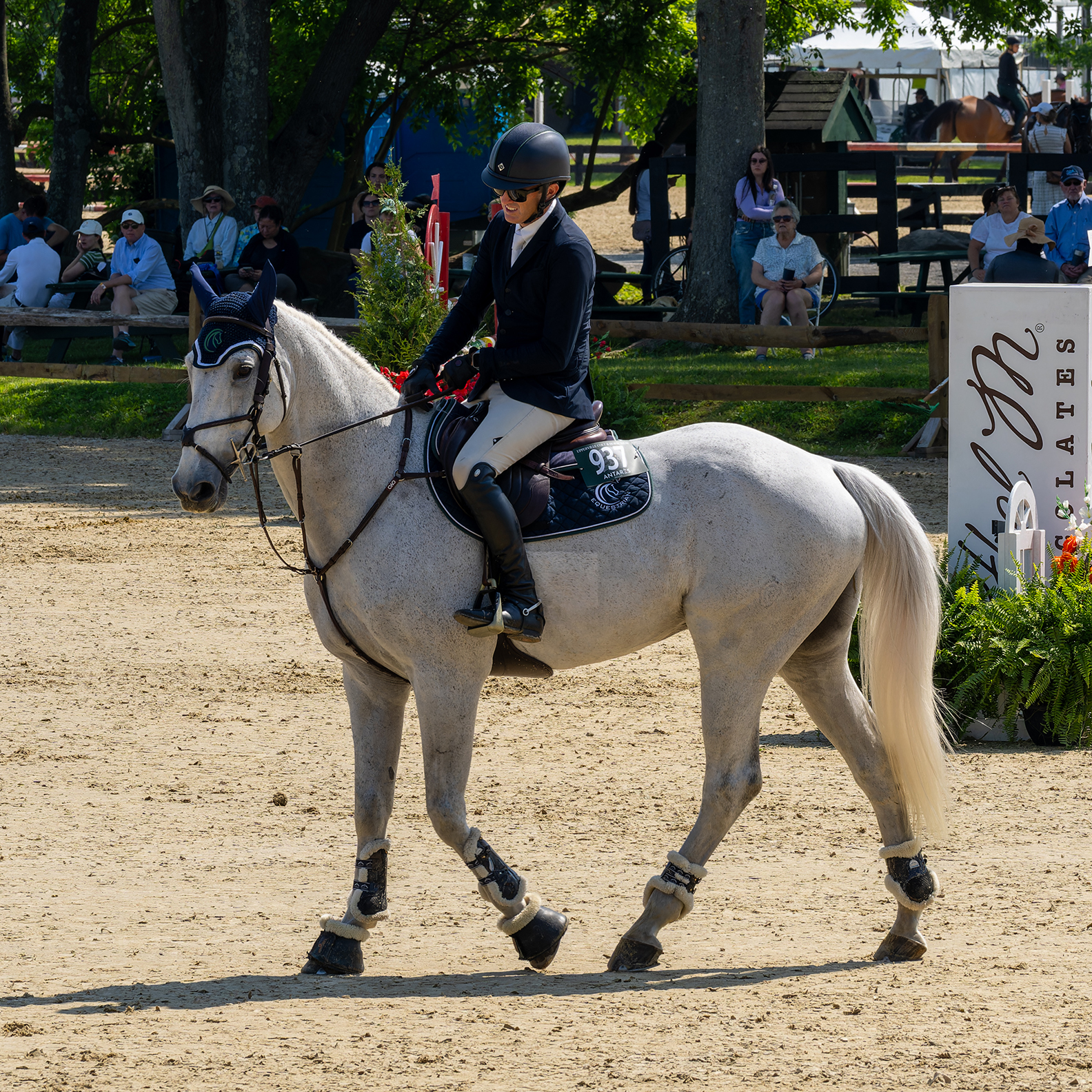 Upperville Colt & Horse Show 2025